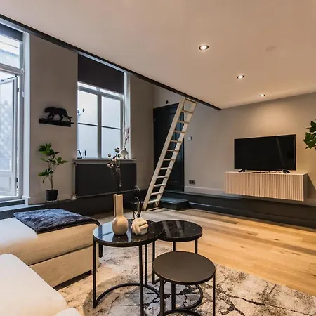 Elegant Loft 'malbec' The Hague